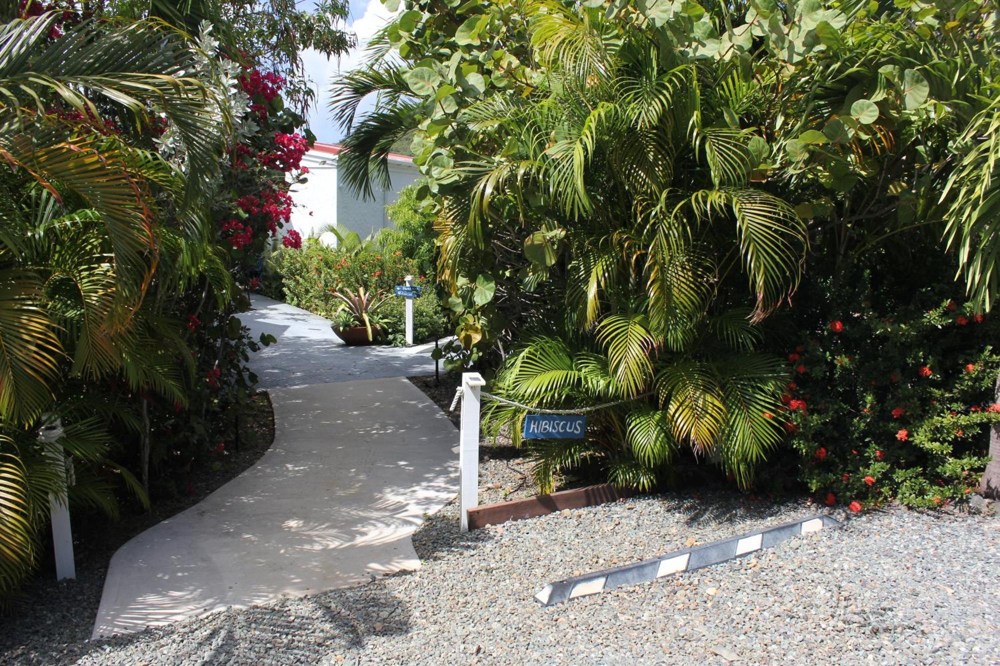 Beautiful Honeymoon Suite At Sunset Serenade Cruz Bay Bagian luar foto